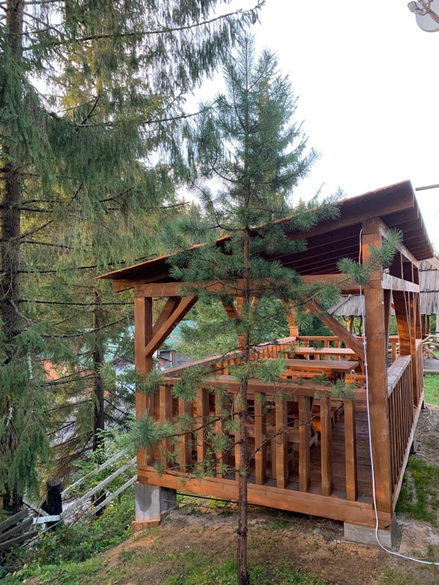 Hotel Novoe Shale Jablunyzja Exterior foto